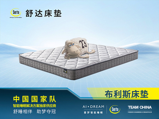 【现货】 布利斯床垫 亲肤透气抗菌阻螨针织面料 1.5*2.0米 舒柔海绵贴合脊椎曲线 时尚灰色包边 边缘加固 平稳承托邦尼尔弹簧 床垫