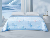 喜临门 现代简约 超柔水洗夏被 绵软丝滑耐水洗 轻松过凉夏 磨毛工艺 QMAX凉感值0.22 加倍透气干爽不闷热 浅蓝色 臻享礼遇定制礼盒